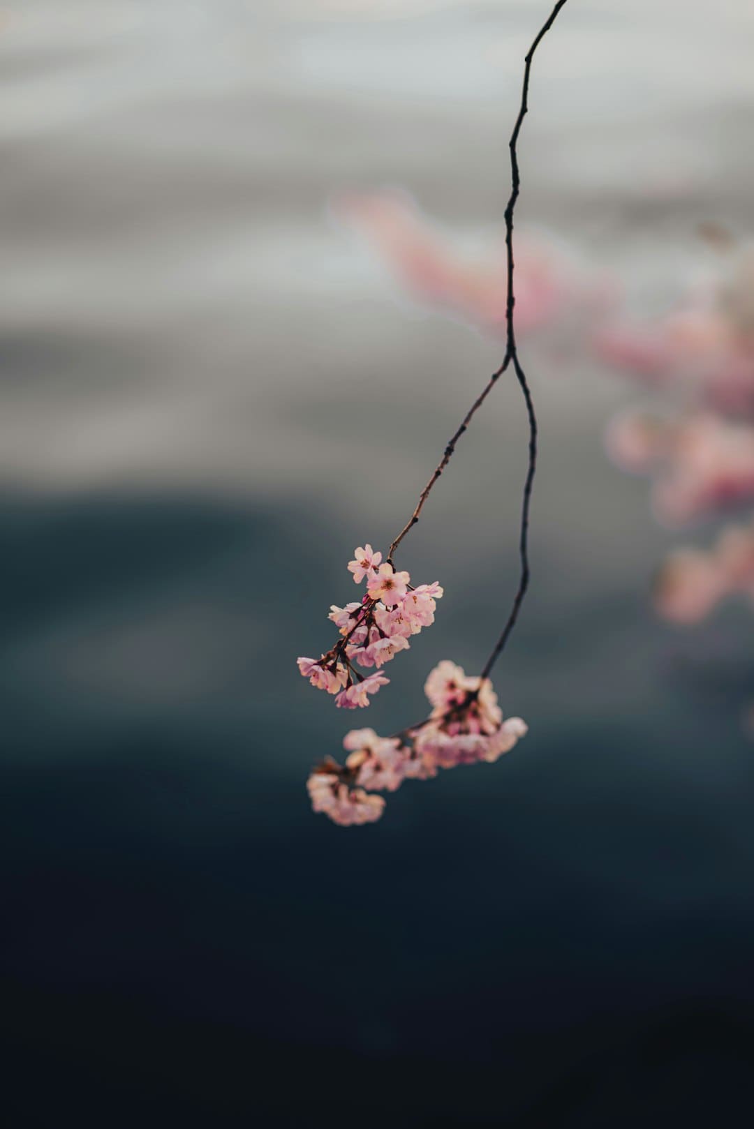 新同学，与“智能原生”同行